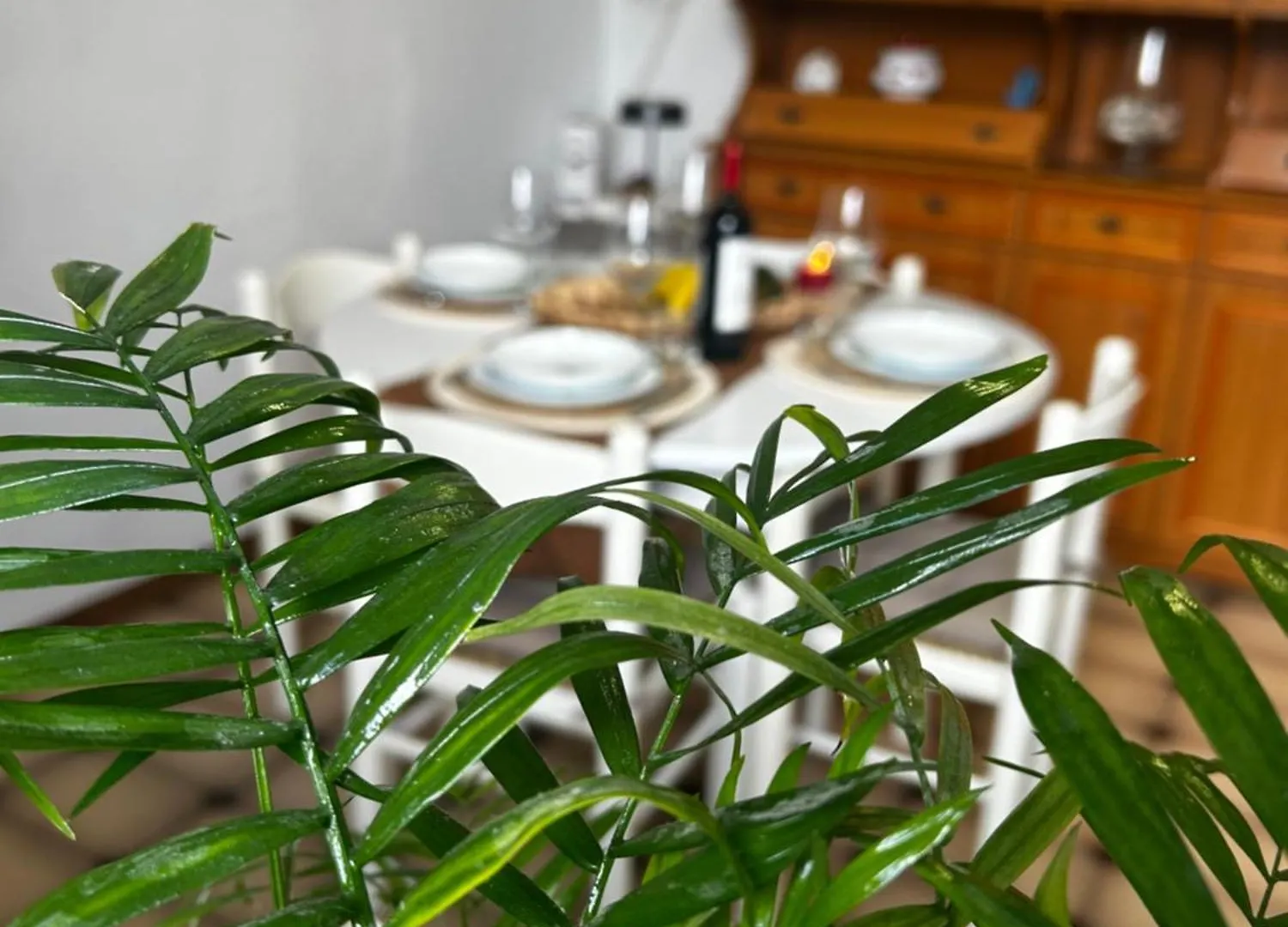 Appartamento Mariposa San Vincenzo Apartment